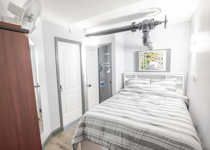 Apartment & Cozy 1-bedroom In Irving Park Chicago