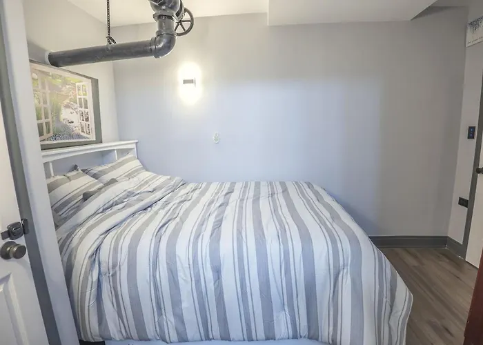 Apartment & Cozy 1-bedroom In Irving Park